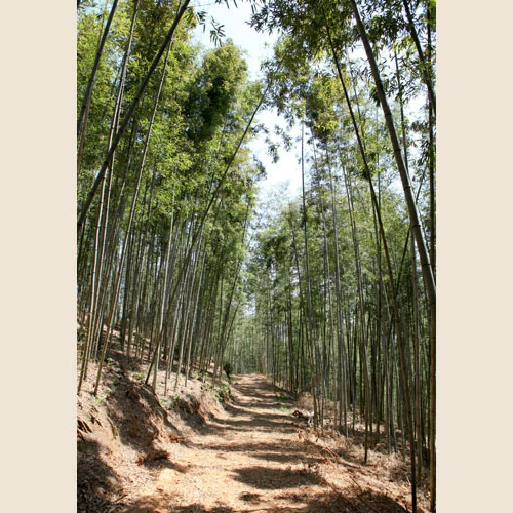 주변전경