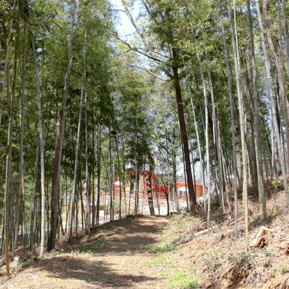주변전경