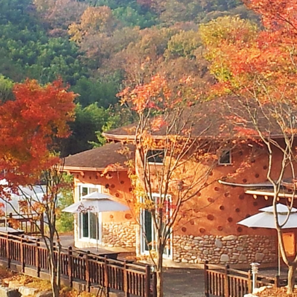주간전경